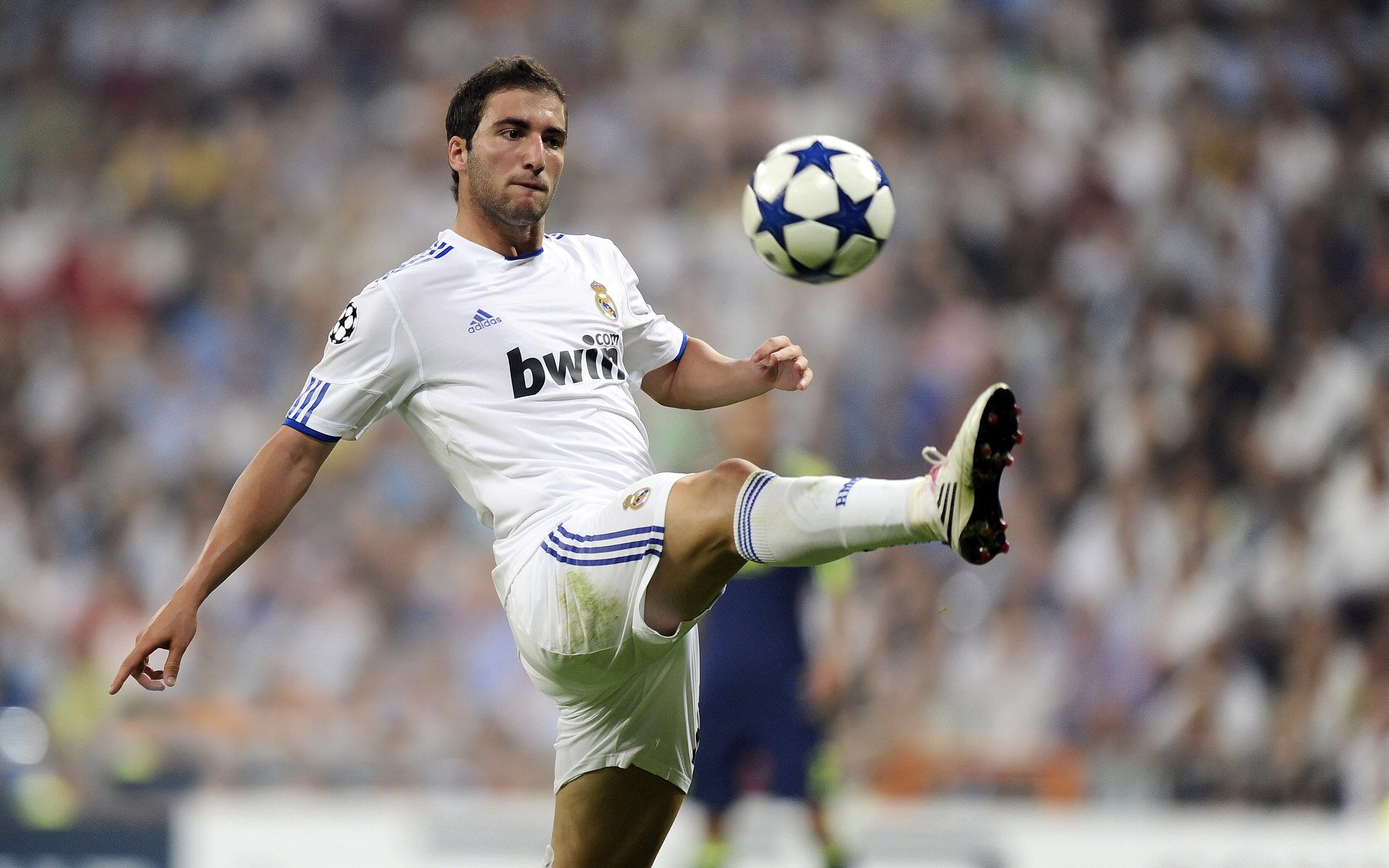 勇士内线组合强度训练视频被点赞数万，勇士队内线