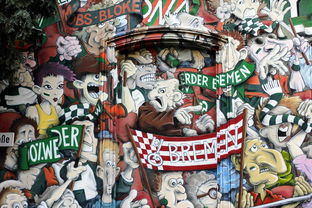 中国足球联赛主场球迷忠诚度提升经验分享，中国足球球迷协会